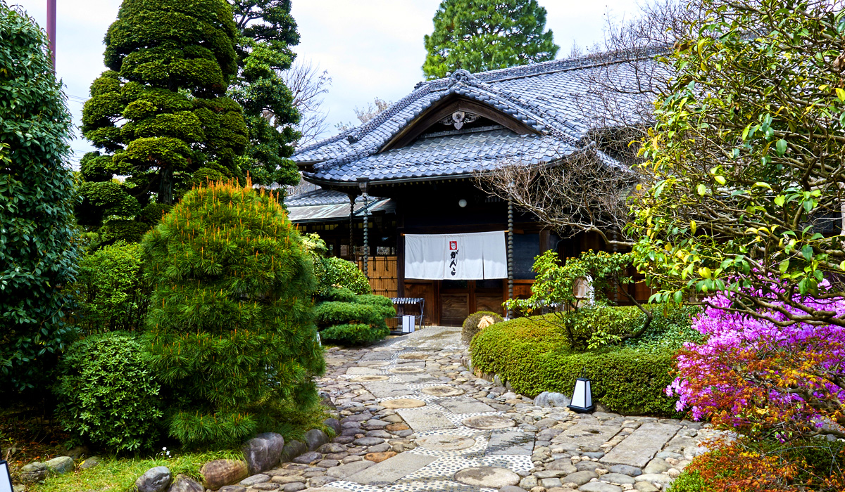 Ganko 日本